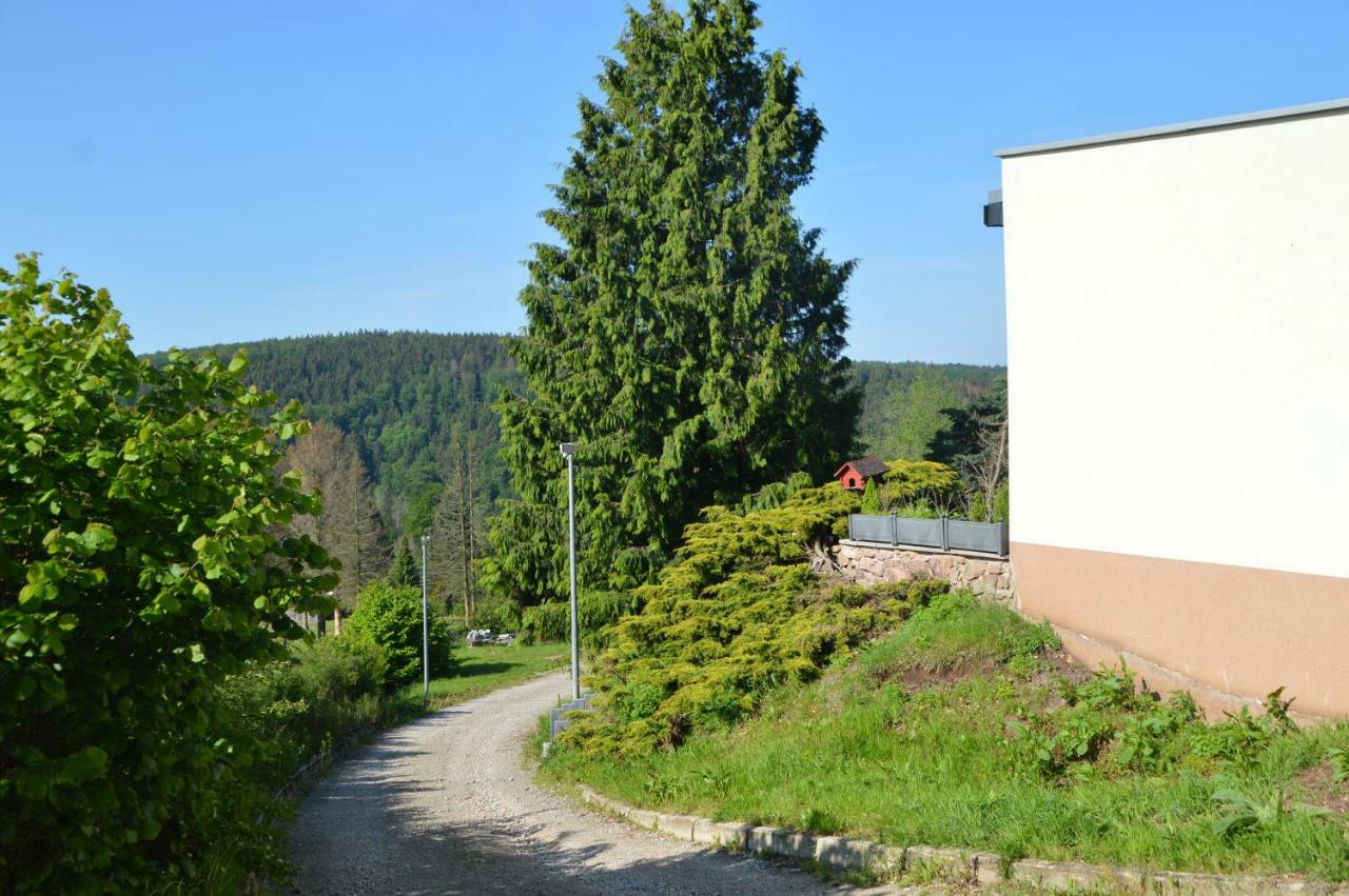 Bergpanorama Ruhla Apartment Luaran gambar